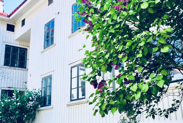 Västra Skansgatan 7, Göteborg - bild 1