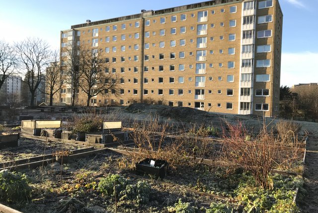 Skäpplandsgatan 12, Göteborg - bild 4