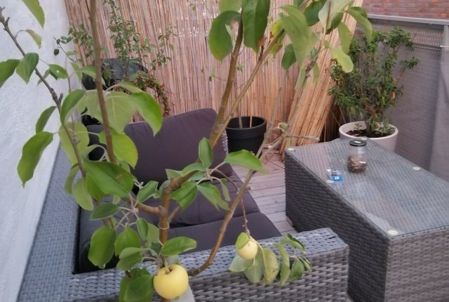 Dalbyvägen 61, Arlöv - bild 3
