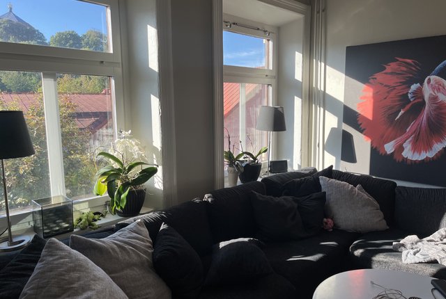 Kaponjärgatan 4F, Göteborg - bild 1