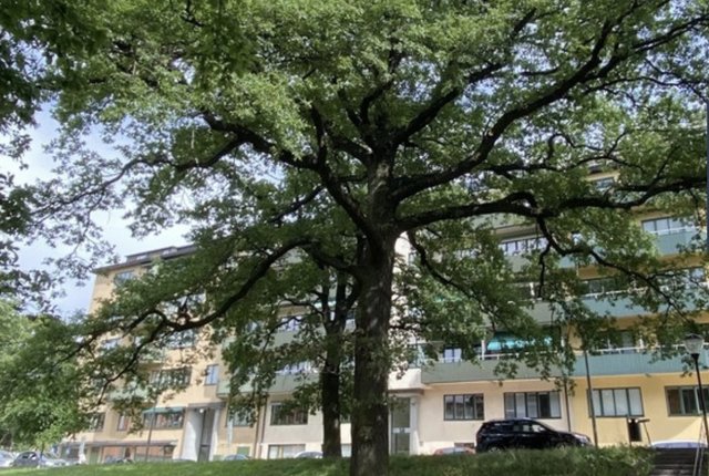 Atterbomsvägen 56, Stockholm - bild 4