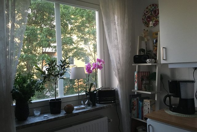 , Solna - bild 3