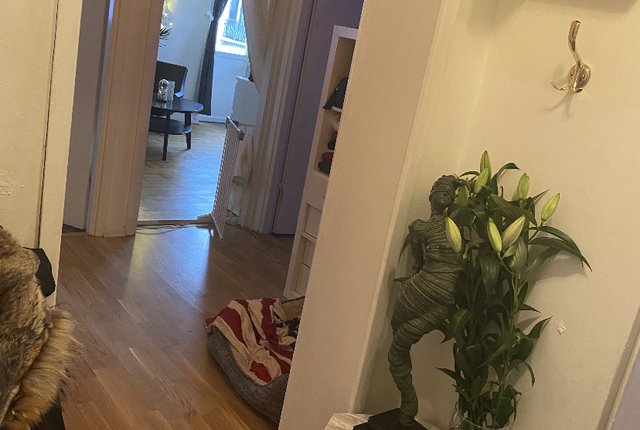 Sankt Paulsgatan 22, Stockholm - bild 2