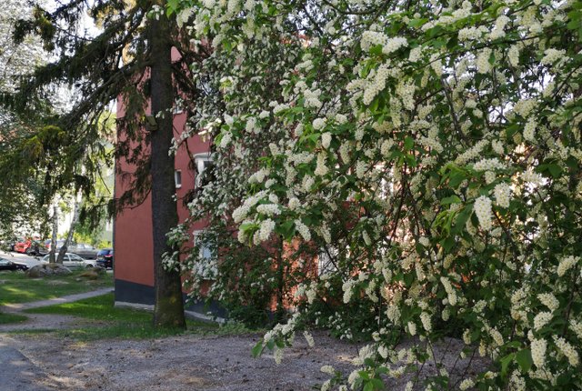 Frimärksvägen 2, Enskede - bild 2