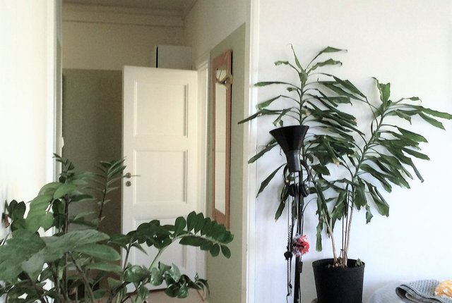 Lidnersplan 11, Stockholm - bild 2