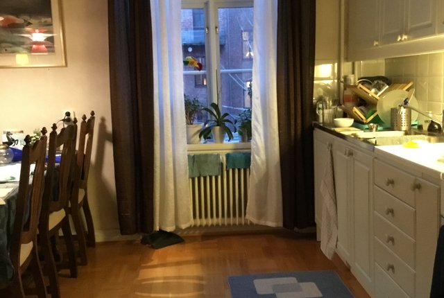 Karl Gustavsgatan 21B, Göteborg - bild 3