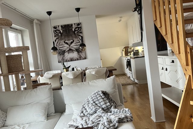Grynmalaregatan 5, Lund - bild 2