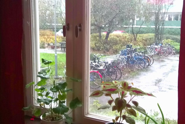 Sorgenfrivägen 33, Malmö - bild 8