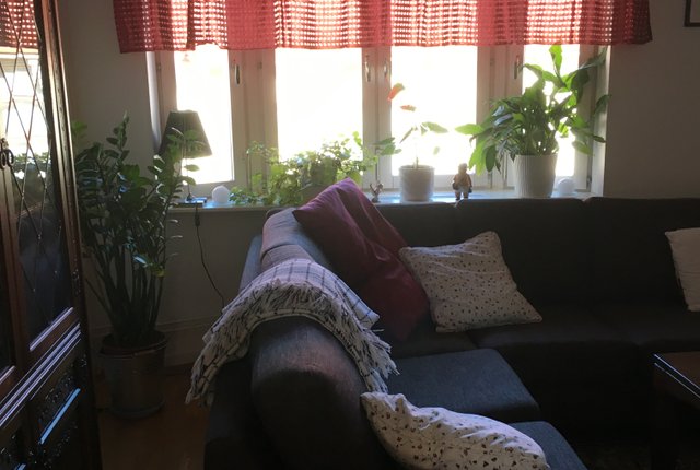 Haga Nygata 33, Göteborg - bild 2