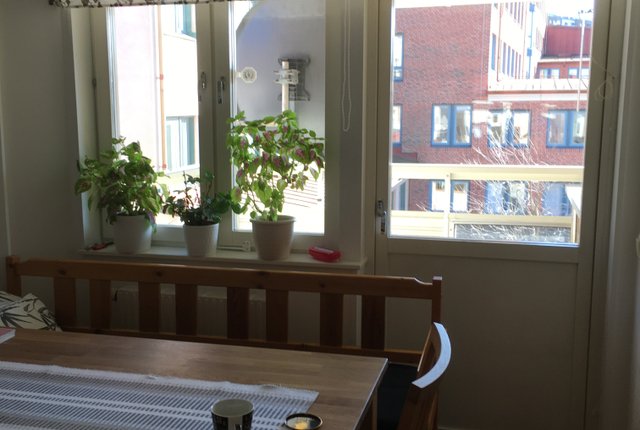 Haga Nygata 33, Göteborg - bild 3