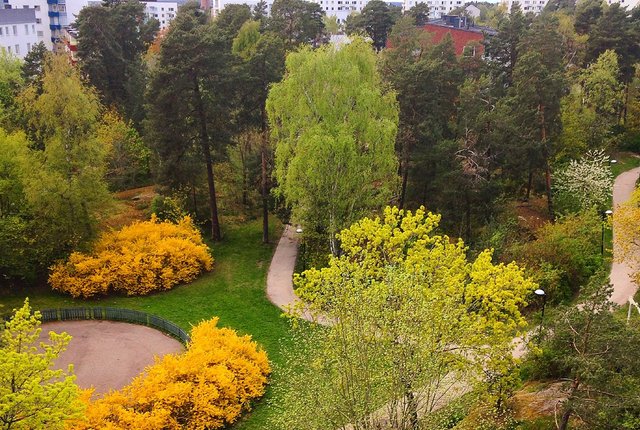 Aprikosgatan 34, Hässelby - bild 6