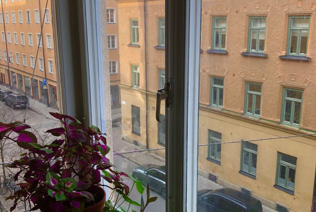 Kocksgatan 38, Stockholm - bild 4
