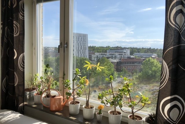 Tranebergsvägen 21, Bromma - bild 1