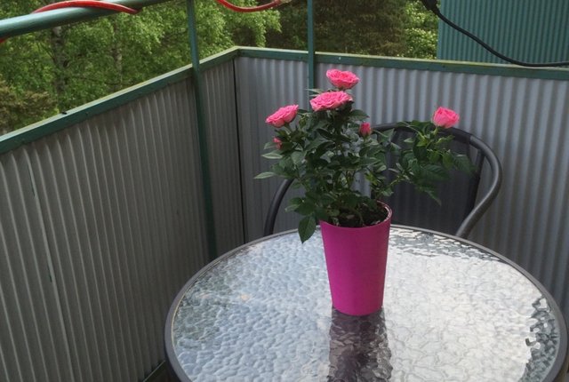 Göksholmsbacken 29, Bandhagen - bild 7