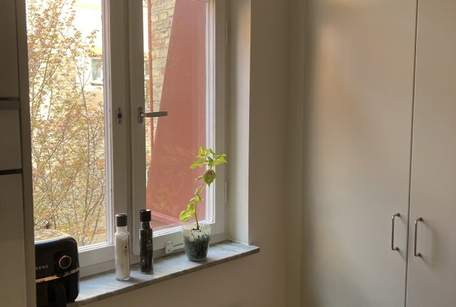 Stenbocksgatan 17A, Malmö - bild 8