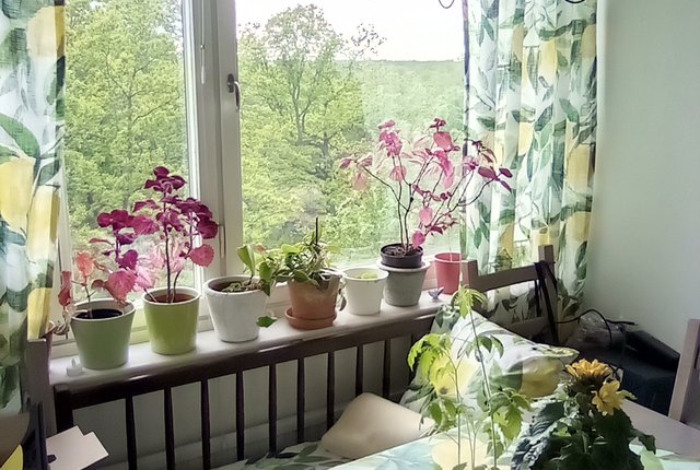 Selmedalsvägen 24, Hägersten - bild 3