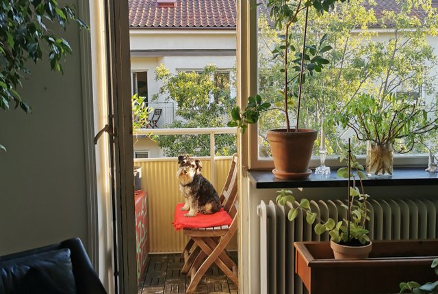 Sölvesborgsgatan 8, Malmö - bild 1