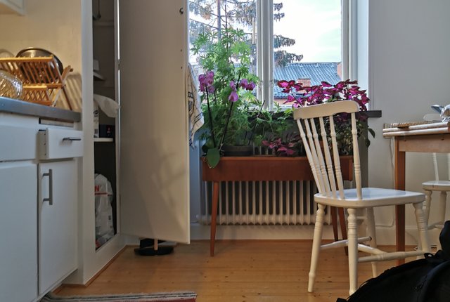 Sölvesborgsgatan 8, Malmö - bild 5