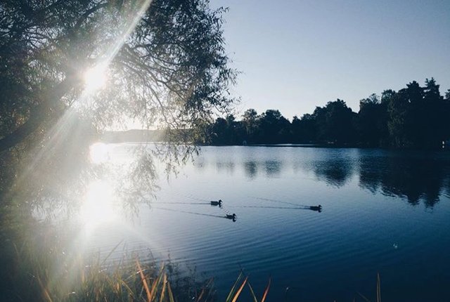 , Saltsjöbaden - bild 5