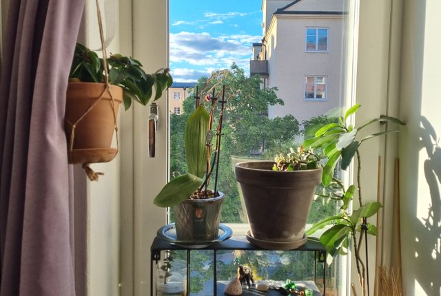 Lundagatan 53, Stockholm - bild 4