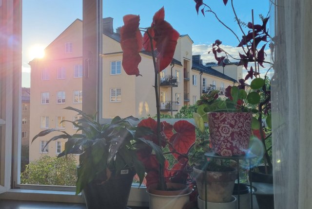 Lundagatan 53, Stockholm - bild 2