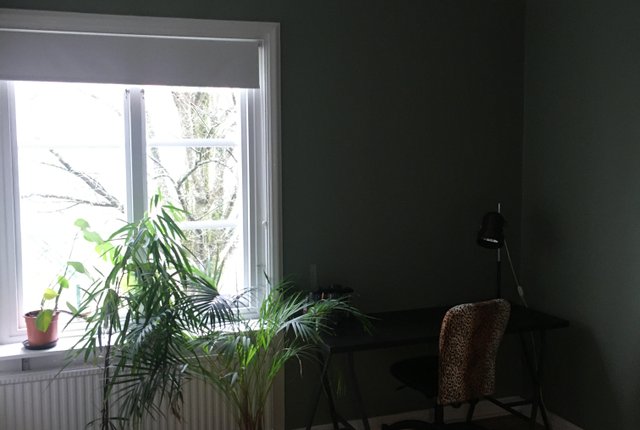 Svanebäcksgatan 25, Göteborg - bild 4