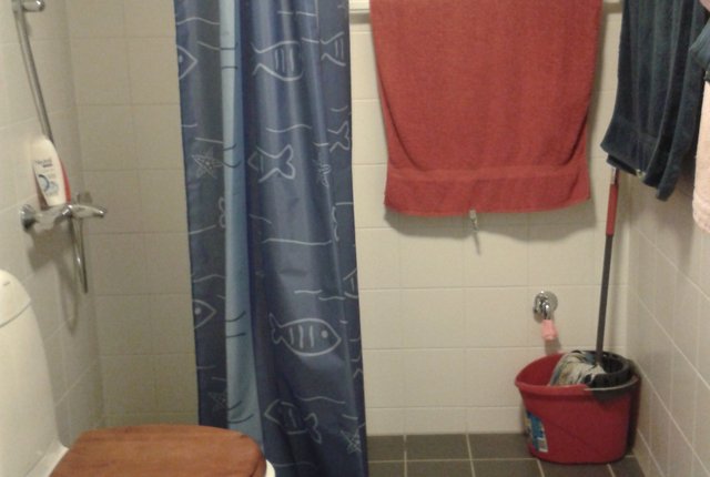 Blommensbergsvägen 115,  - bild 4