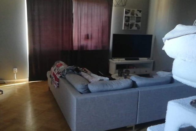 Måsalyckevägen 8, Falkenberg - bild 7