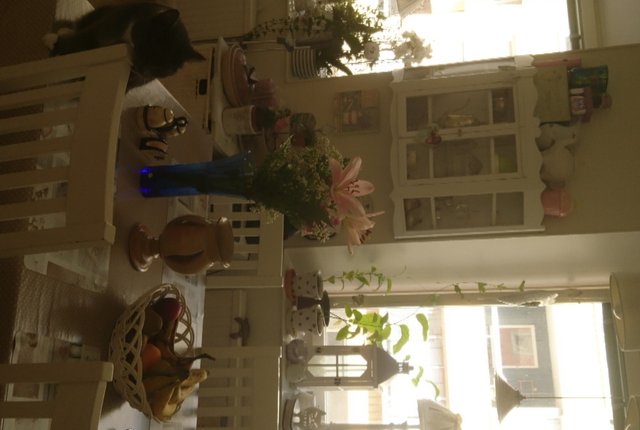 Nygatan 48B, Norrköping - bild 6