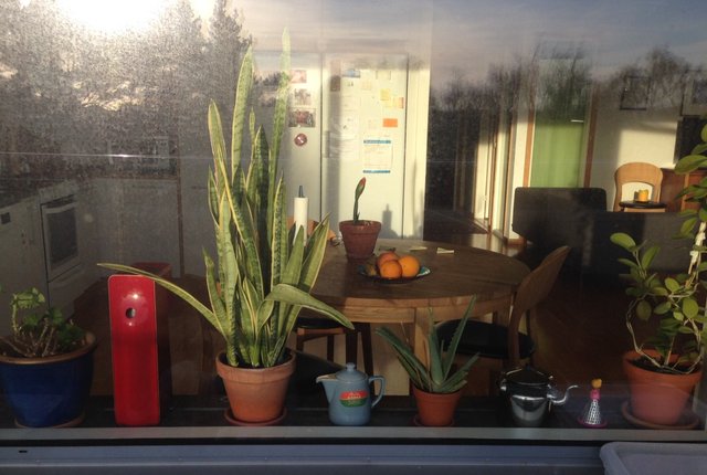 Dirigentgatan 6, Västra Frölunda - bild 2