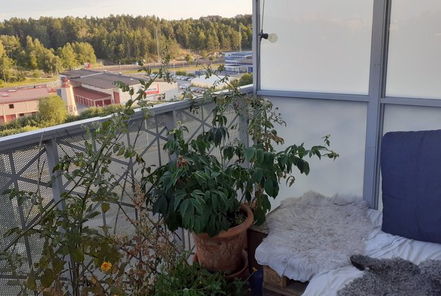 Gamla Enköpingsvägen 126, Sundbyberg - bild 8