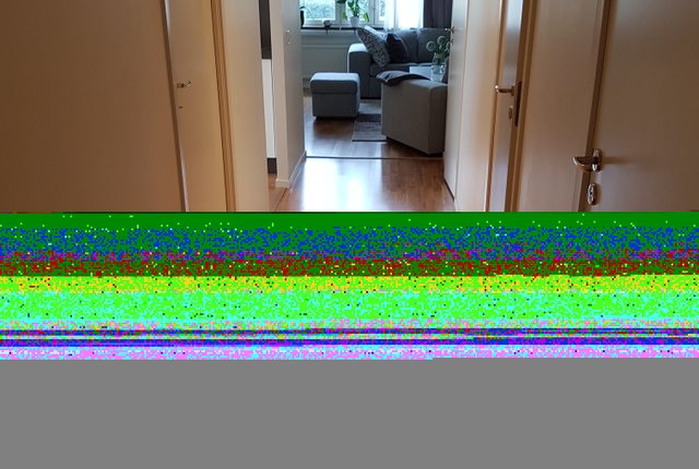 , Skogås - bild 2