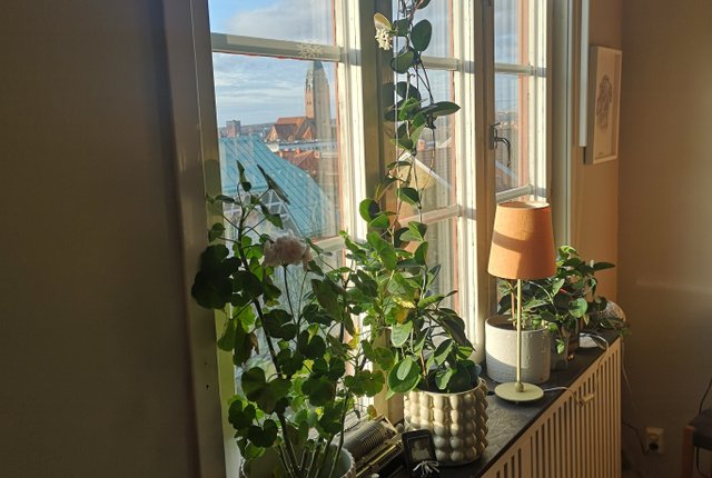 Sjömansgatan 8A, Göteborg - bild 5