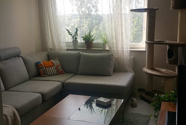 , Trångsund - bild 2